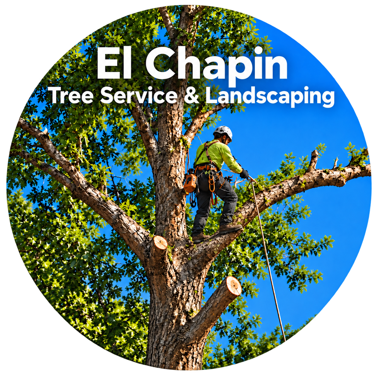 El Chapin Tree Service & Landscaping